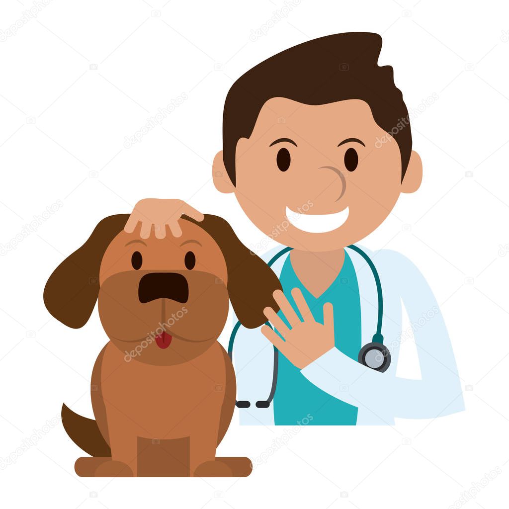 Veterinary with dog pet vector illustration graphic design