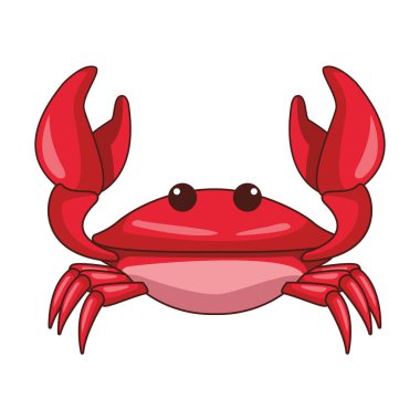 Plaj hayvan siyah ve Beyaz yengeç