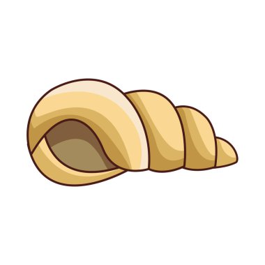 Deniz kabuğu molusk siyah ve beyaz