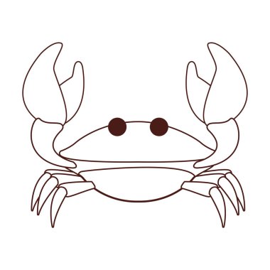 Plaj hayvan siyah ve Beyaz yengeç