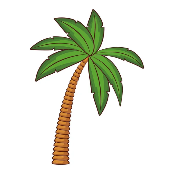 Palm boom cartoon zwart-wit — Stockvector