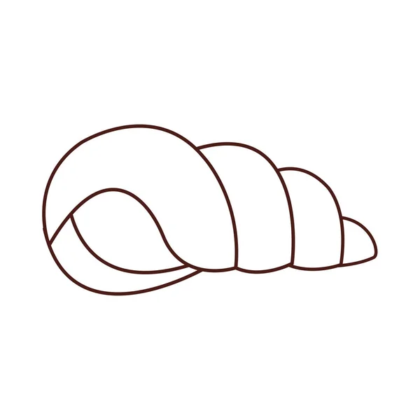 Tengeri kagyló molusk fekete-fehér — Stock Vector
