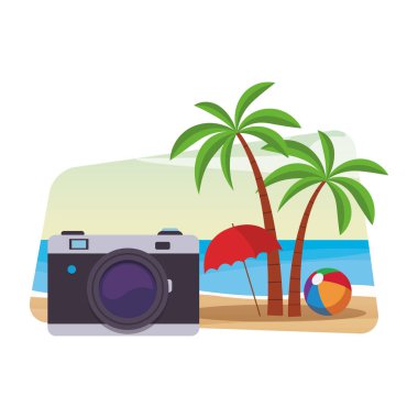 Kamera ve palmiye ağacı