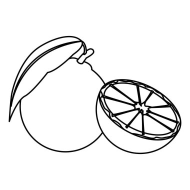 turuncu izole simgesi