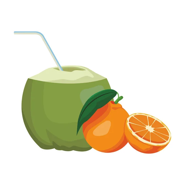 Καρύδας με πορτοκάλια — Διανυσματικό Αρχείο