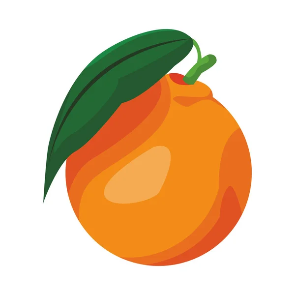 Icono aislado naranja — Archivo Imágenes Vectoriales