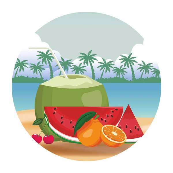 Kokosnuss Mit Orangen Und Wassermelone Bunte Runde Ikone Vektor Illustration — Stockvektor