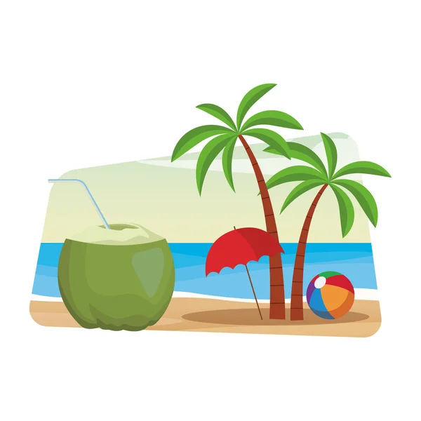 椰子饮料与棕榈 — 图库矢量图片
