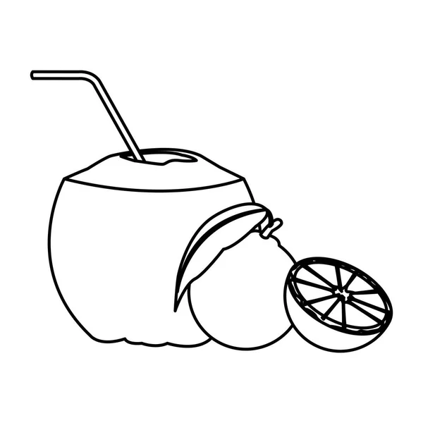 Noix de coco aux oranges — Image vectorielle