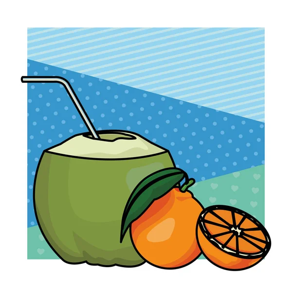 Kokosnuss mit Orangen — Stockvektor