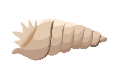 Deniz kabukları simgesi