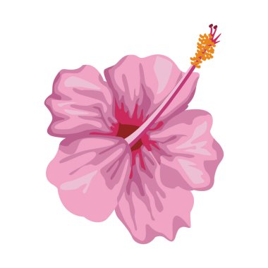 orkide tropikal simgesi