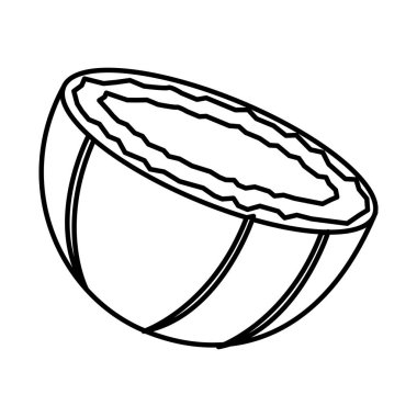 Hindistan cevizi izole simgesi