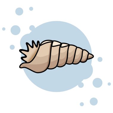 Deniz kabukları simgesi