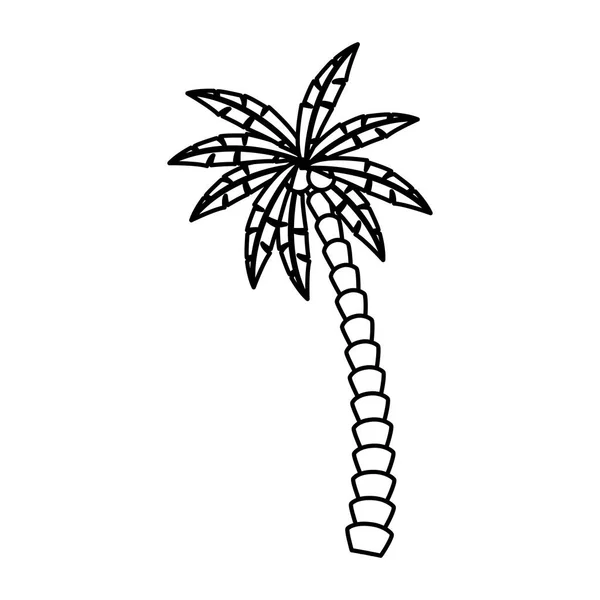 Icono de la palmera — Vector de stock