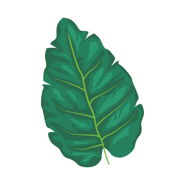 Palm leaf значок — стоковий вектор