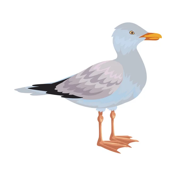 Seagull geïsoleerde pictogram — Stockvector