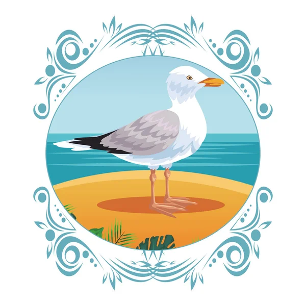 Seagull op strand — Stockvector