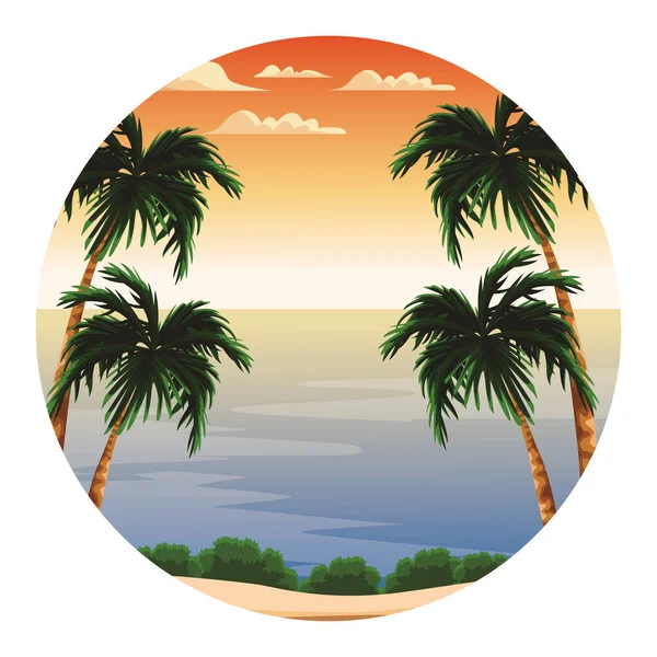 海滩和海岛与树棕榈风景圆图标向量例证设计 — 图库矢量图片