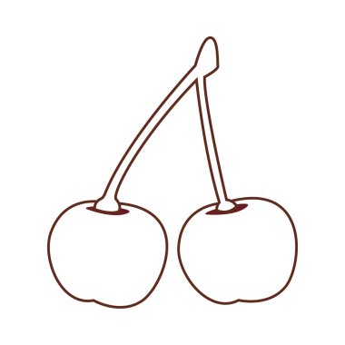 lezzetli ve taze meyve