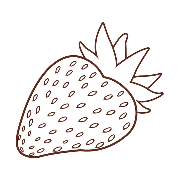 Fruta deliciosa y fresca — Archivo Imágenes Vectoriales