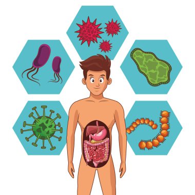 genç insan vücudu anatomisi