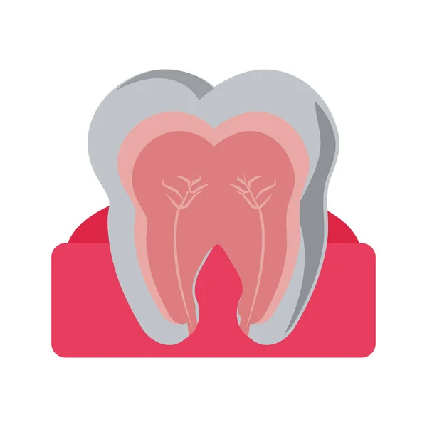 Zahn mit Nervosität im Zahnfleisch — Stockvektor