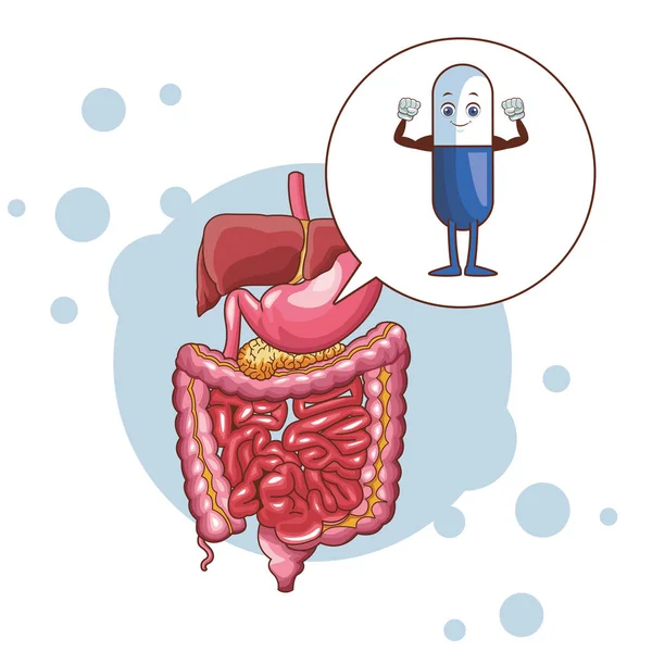 Пищеварительная система с таблетками — стоковый вектор