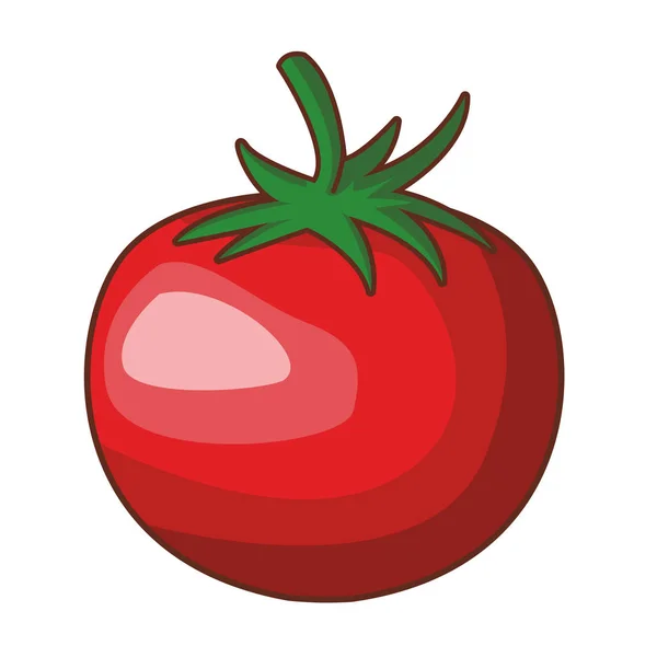 Icono aislado de tomate — Vector de stock