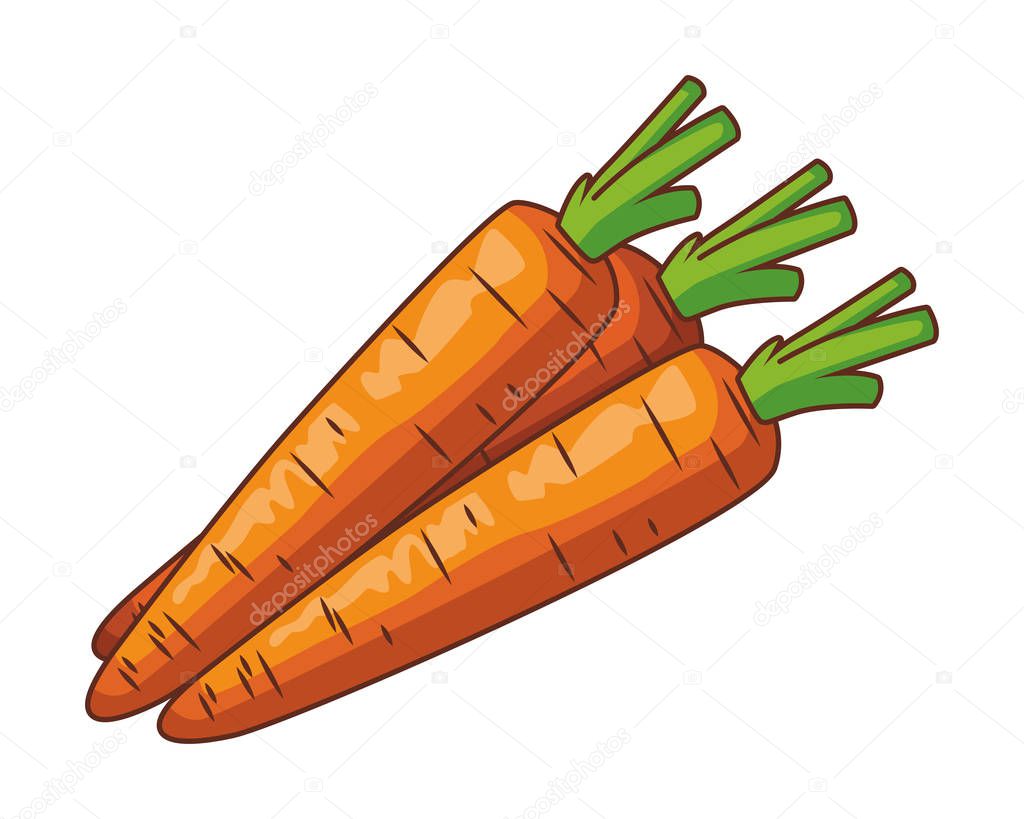 carrot isolated icon