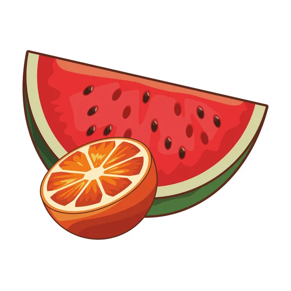 Fruta deliciosa y fresca — Vector de stock