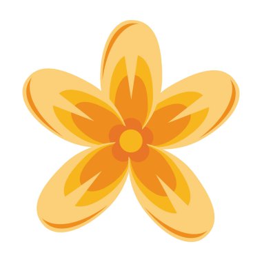 güzel çiçekler izole