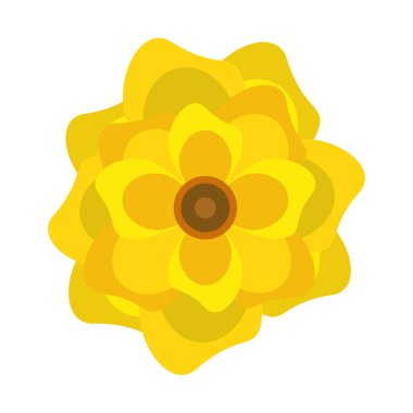 güzel çiçekler izole