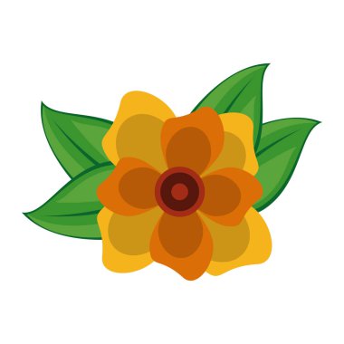 güzel çiçekler izole