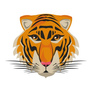 güzel kaplan başı