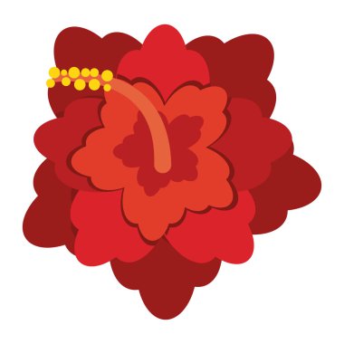 güzel çiçekler izole