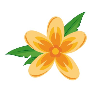 güzel çiçekler izole