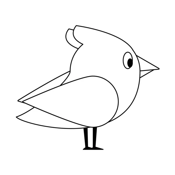 Oiseau dessins animés mignons noir et blanc — Image vectorielle