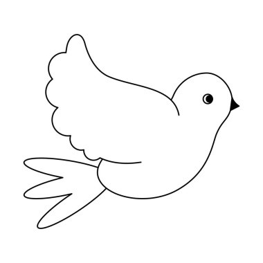 Barış kuş siyah ve beyaz güvercin