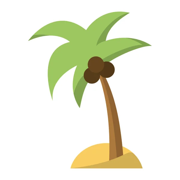 Деревна долоня з кокосами — стоковий вектор