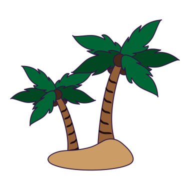 Hindistancevizi palmiye ağaçları