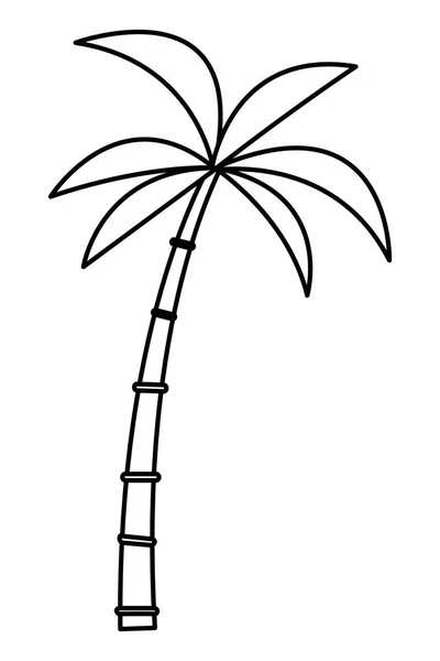 Beach palm cartoon — Stockvector