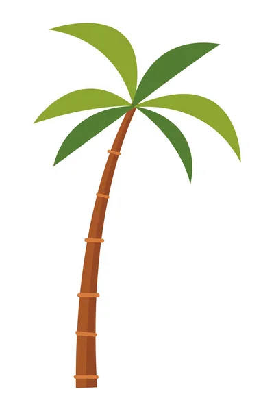 Caricatura de palmera — Vector de stock