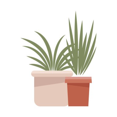 bitkiler pot çizgi film