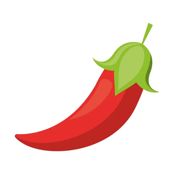 Spaanse peper vers fruit cartoon — Stockvector