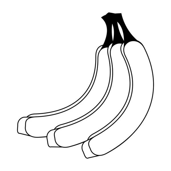 Plátanos fruta dulce de dibujos animados — Vector de stock
