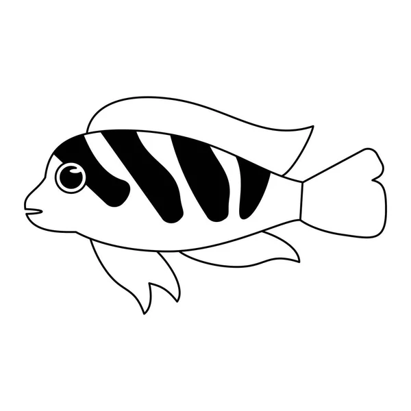 Fish sea animal cartoon in black and white — Stock Vector
