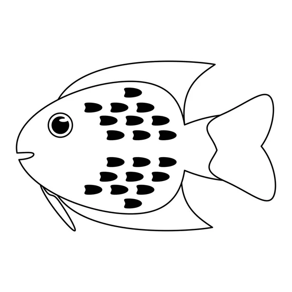 Caricature animalière poisson mer en noir et blanc — Image vectorielle