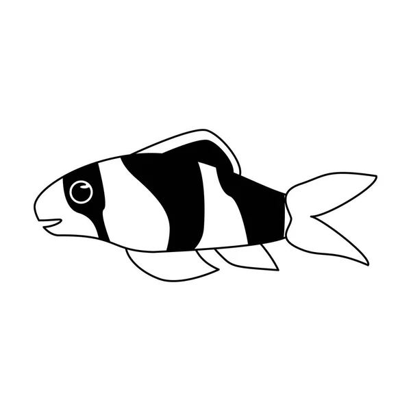 Dibujos animados de animales marinos de pescado en blanco y negro — Archivo Imágenes Vectoriales