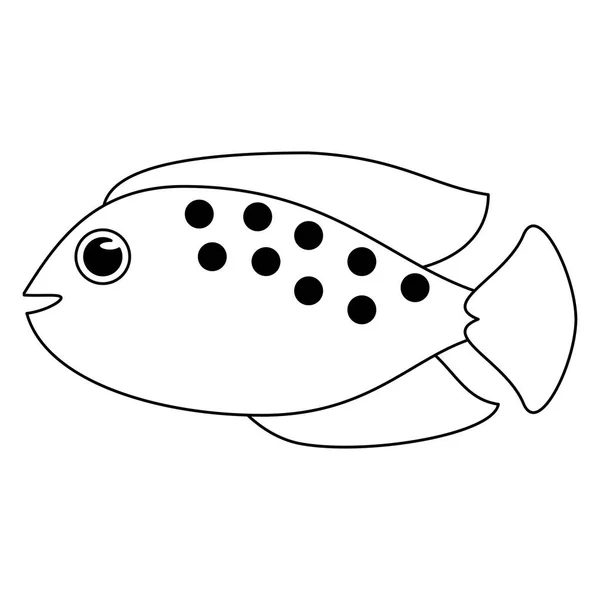 Desenhos animados de animais do mar de peixe em preto e branco —  Vetores de Stock